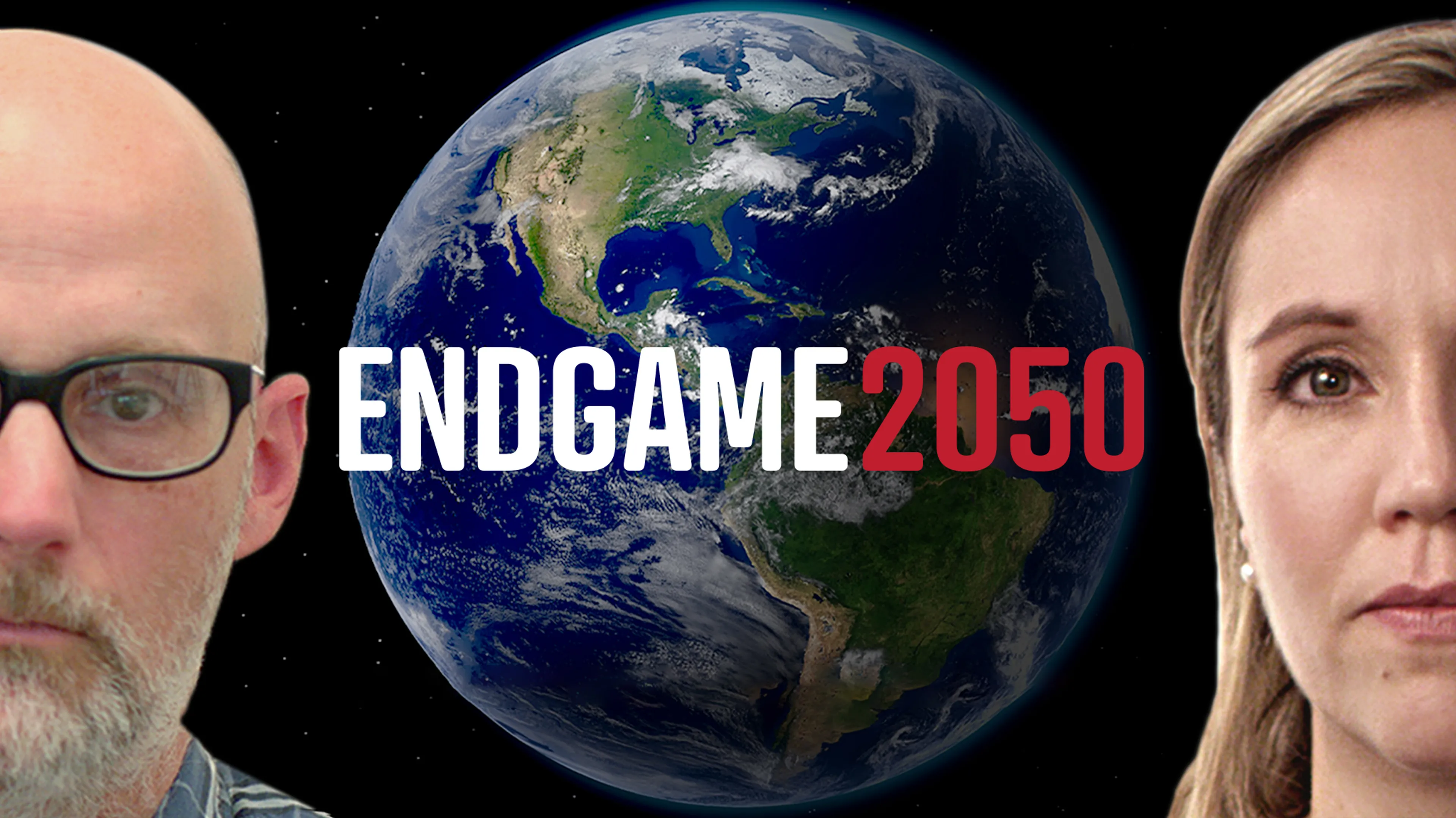 Endgame 2050 poster
